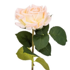 Роза "Розалина", нежно-розовая, 52 см (2000-094PK)