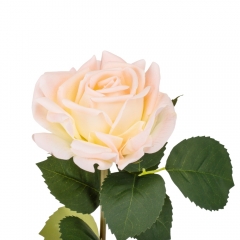 Роза "Розалина", нежно-розовая, 52 см (2000-094PK)