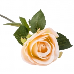 Роза "Флорис", нежно-розовая, 70 см (2000-097PK)