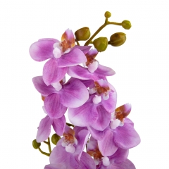 Орхидея "Фаленопсис", фиолетовая, 70 см (9023-017)
