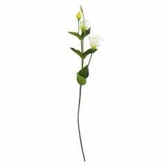 Еустома "Айлін", біла, 64 см (9023-037)