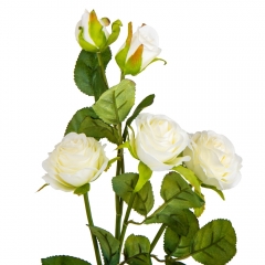 Роза "Габриэль", белая, 63 см (9023-042)