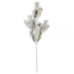 Гілка хвойна "Сузір