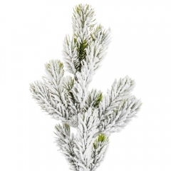 Гілка хвойна "Сузір