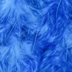 Декоративне пір