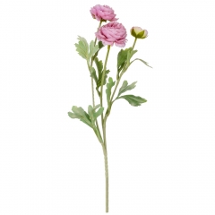 Роза пионовидная, нежно-розовая, 50 см. (9160-003)