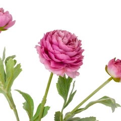 Роза пионовидная, розовая, 50 см. (9160-005)