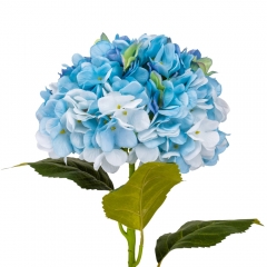 Гортензия "Анабель", голубая, 57 см (9160-012)
