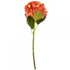 Гортензия "Анабель", оранжевая, 57 см (9160-015)