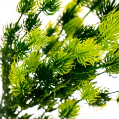 Гілка хвої, 42 см (8031-004)