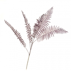 Гілка папороті, бузкова (8725-010)