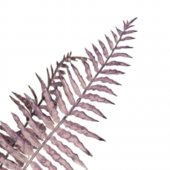 Гілка папороті, бузкова (8725-010)