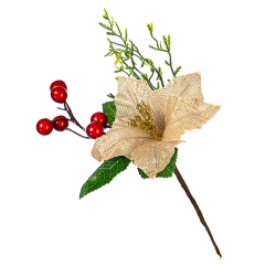 Пуансетія золота (019NT)