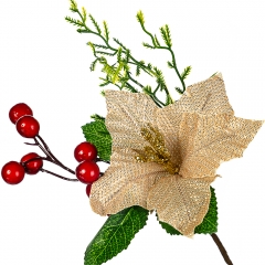 Пуансетія золота (019NT)