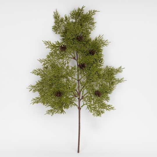 Декоративная ветвь 