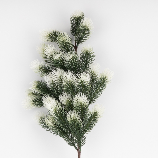 Декоративная ветвь 