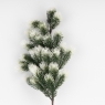 Декоративная ветвь 