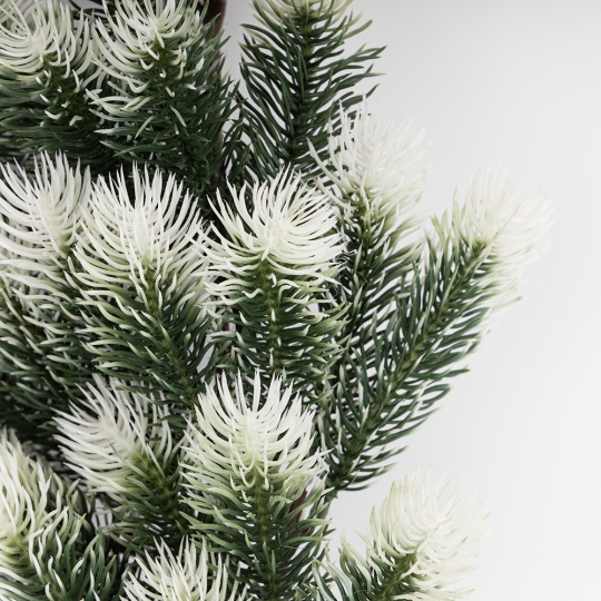 Декоративная ветвь 