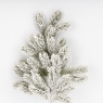 Декоративная ветвь 