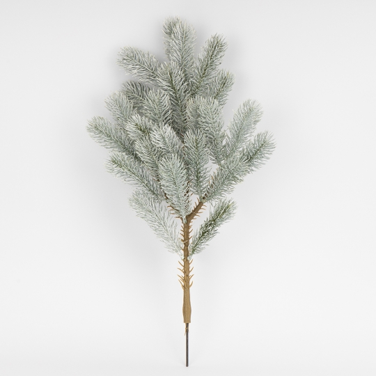 Декоративная ветвь 