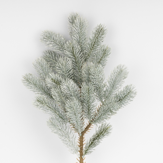 Декоративная ветвь 