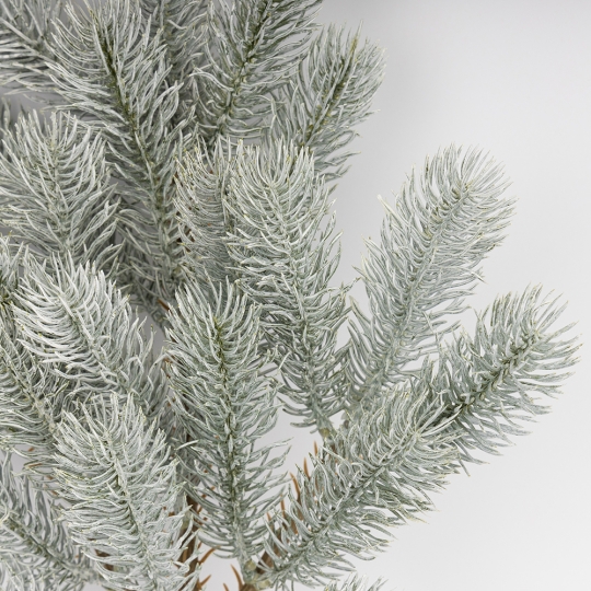 Декоративная ветвь 