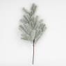 Декоративная ветвь 