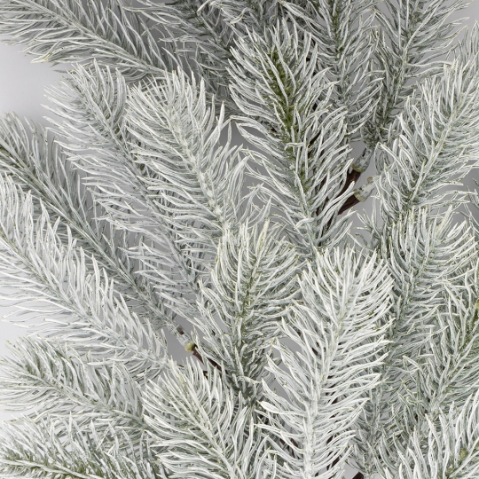 Декоративная ветвь 