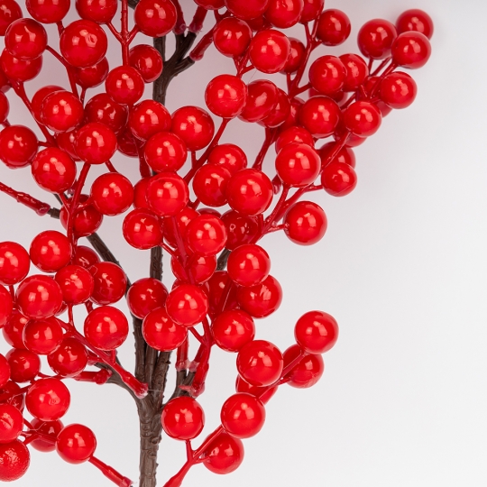 Декоративная ветвь 