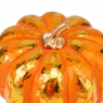 Декоративная тыква 