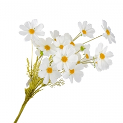 Космея біла, 90 см (009FO)