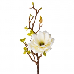 Магнолія "Жозефіна", ніжно-жовта, 80 см (9104-006)