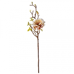 Магнолія "Жозефіна", біло-помаранчева, 80 см (9104-007)