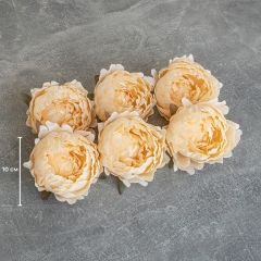 Головка півонії, бежева, 10 см (9222-062)