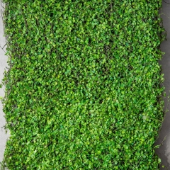 Декоративна панель зі штучної зелені "Травка", 42*90 см (9226-001)