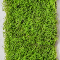 Декоративна панель зі штучної зелені "Мох", 40*90 см (9226-002)