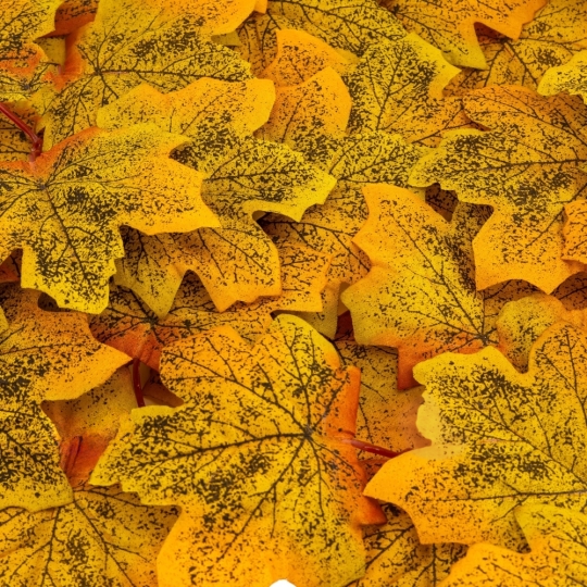 Искусственные кленовые листья 