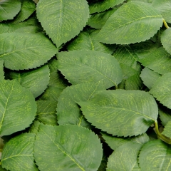 Штучне листя троянди, зелене, 250 г (9230-010)