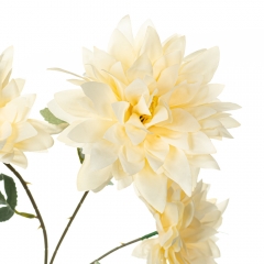 Хризантема, кремовая (8725-048)