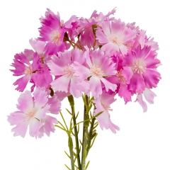 Декоративні квіти "Волошки" рожеві (8721-004)