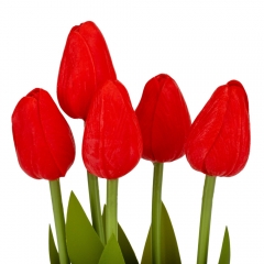 Букет тюльпанов "Рапсодия", красный, 25,5 см (9129-012)
