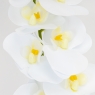 Штучна орхідея, біла, 57 см (2026-022/white)
