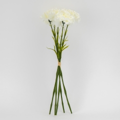 Букет гвоздик, 5 бутонів, кремовий, 55 см (2026-020/white)