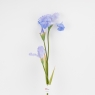 Штучний ірис, ніжно-блакитний, 80 см (2026-030/sky.blue)