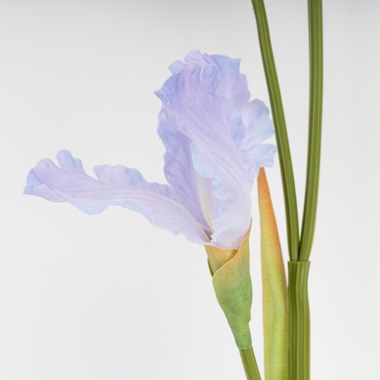 Штучний ірис, ніжно-блакитний, 80 см (2026-030/sky.blue)