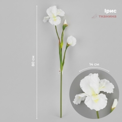 Штучний ірис, білий, 80 см (2026-030/white)