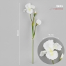 Штучний ірис, білий, 80 см (2026-030/white)