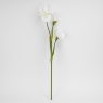 Штучний ірис, білий, 80 см (2026-030/white)