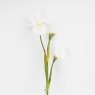 Штучний ірис, білий, 80 см (2026-030/white)