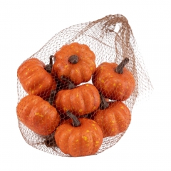 Набір декоративних гарбузиків "Осінній мікс", 10 шт, 6 см (9223-037)
